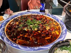 -新概念来凤鱼(璧山店)