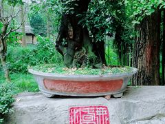 -成都杜甫草堂博物馆