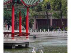-广东圆玄道观