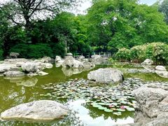 -神仙树公园