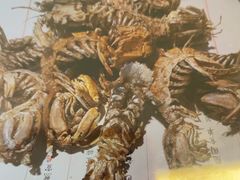 -旺角小渔村(二马路店)