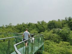 -陶祖圣境风景区