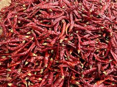 -邱金小炒·30 年盐帮江湖菜(自贡店)