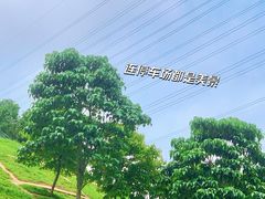 -马峦山郊野公园