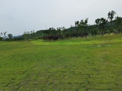 -潇河湿地公园