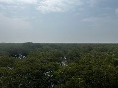 -北海金海湾红树林生态旅游区