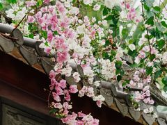 -深圳国际园林花卉博览园