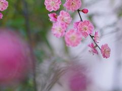 -郭庄景区