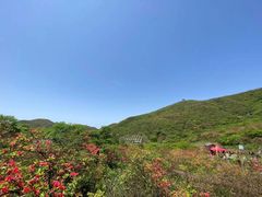 -大围山国家森林公园