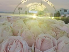 -三生有幸婚礼策划·求婚策划·婚纱照·领证跟拍