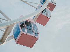 -顾村公园