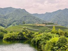 -龙坞茶村