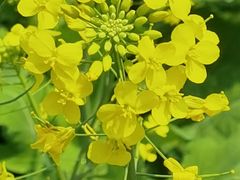 -BHG生活超市(安贞店)