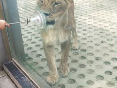 -西安秦岭野生动物园