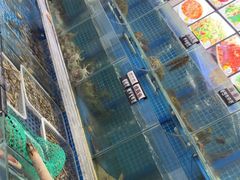 -1910老鲁味海鲜·戳子肉·青岛菜(金沙滩店)