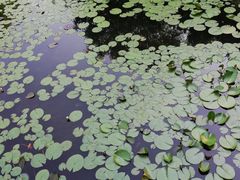 -尚贤河湿地