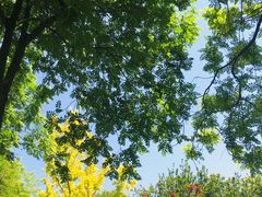 -大兴滨河森林公园