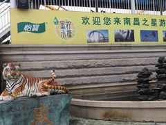 -南昌之星游乐场