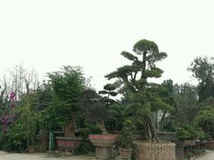 -三圣花乡旅游区