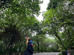 -南京市无想山景区