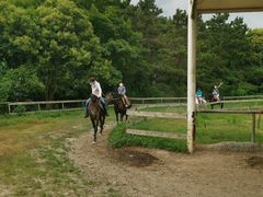 -太阳岛度假酒店