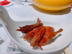 金奖芙蓉鸽-好食上(喜盈门.范城店)