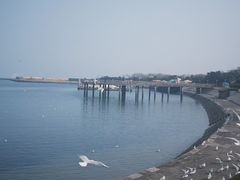 -日照灯塔风景区