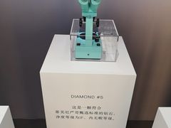 -Tiffany & Co.蒂芙尼
(南京德基广场店)