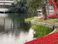 -荔湾湖公园