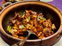 二十年陈皮焖走地鸡-惠食佳·朱雀(东方商厦店)