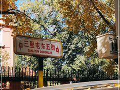 -三里屯东五街银杏大道