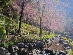 -颛顼龙洞旅游景区