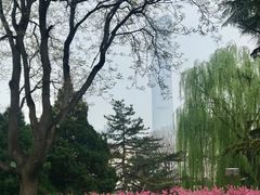 -团结湖公园