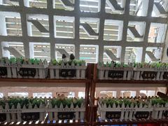 -菌极鲜野生菌火锅店(阳明祠店)