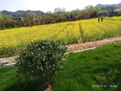 -天宁凯利时尚餐厅