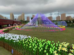 -菊园百果园
