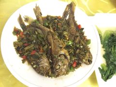 东伊顺-东伊顺(高银街店)