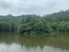 -滴水岩森林公园