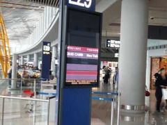 -约翰·菲茨杰拉德·肯尼迪国际机场