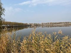 -野鸭湖国家湿地公园