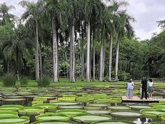 -中国科学院西双版纳热带植物园