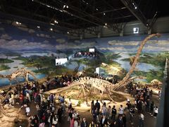 -自贡恐龙博物馆