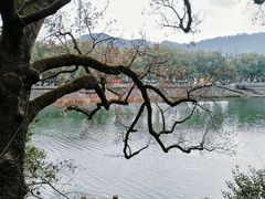 -溪口-滕头旅游景区