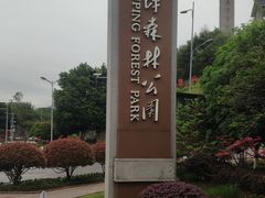 -铁山坪森林公园