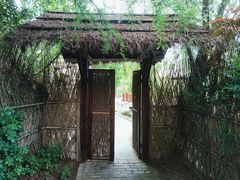 -东平国家森林公园