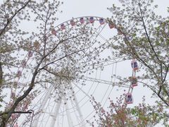 -顾村公园