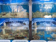 -桔子海鲜烧烤大排档(金沙滩店)