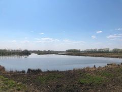 -白渔泡湿地公园