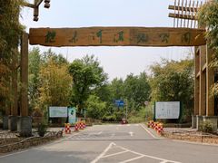 -桤木河湿地公园