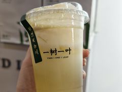 -一树一叶·福建茶档(石鼓路店)